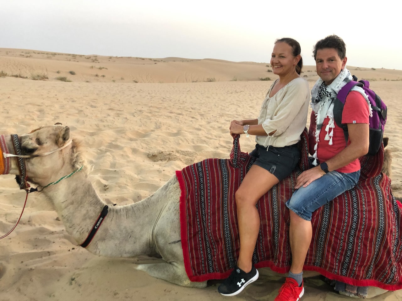Kamelreiten im Al Marmoom Heritage Desert Camp