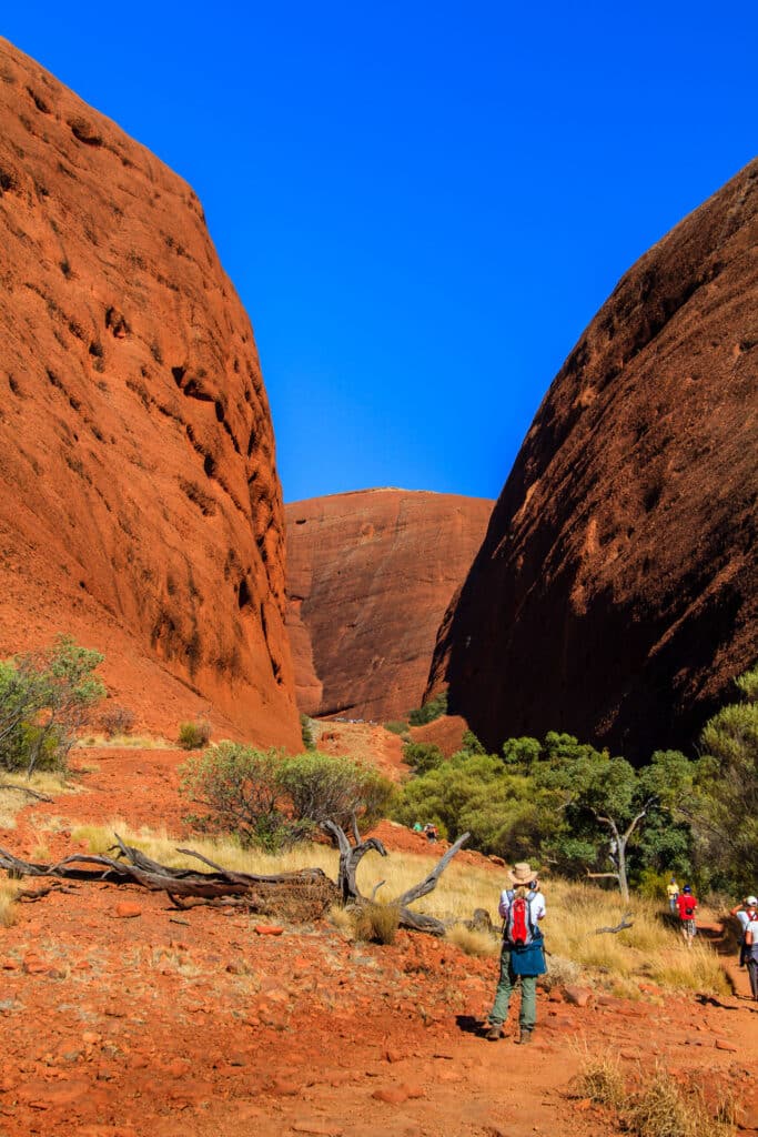 Australien Olgas KataTjuta