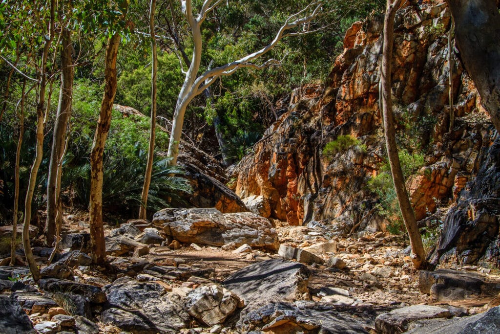 Ausgetrockneter Backlauf am Standley Chasm