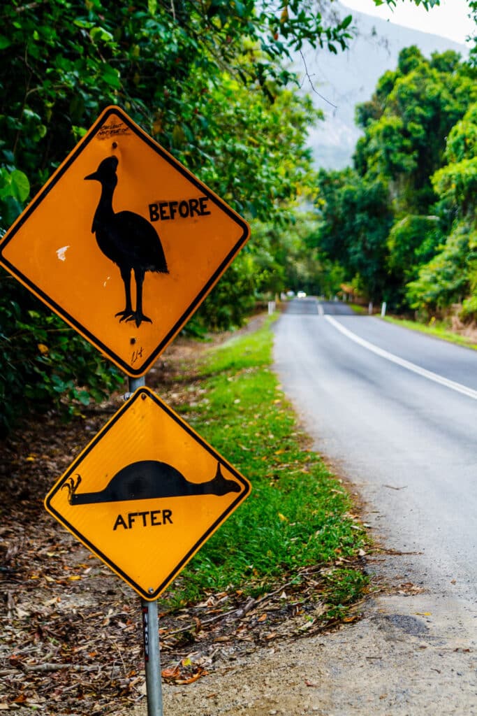 Straßenschild Kasuar Vogel